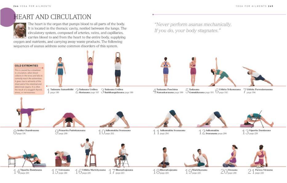 Yoga: The Path to Holistic Health